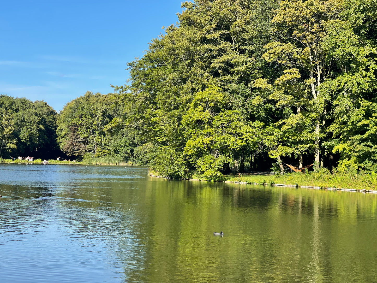 Painting Workshop/August 26, Tuesday 10am-1 pm -HAAGSE BOS, DEN HAAG